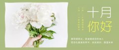 合作經(jīng)營，共負盈虧，原您在最美的季節(jié)，收獲美好，展望未來